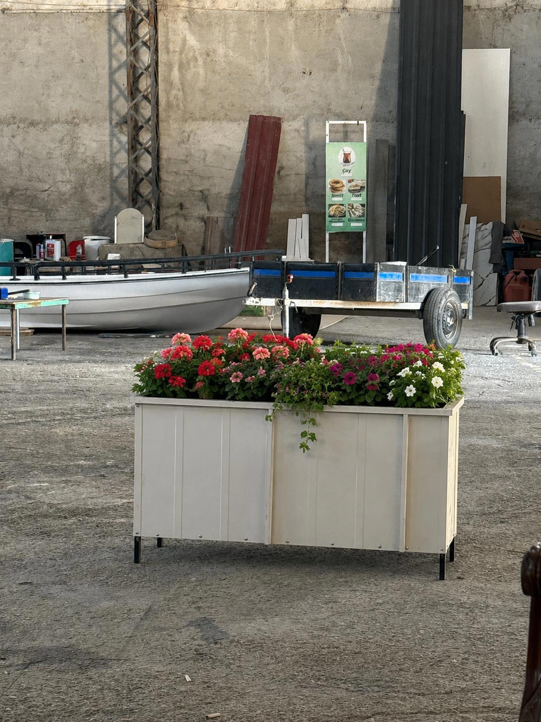 Dekoratif Çiçeklik